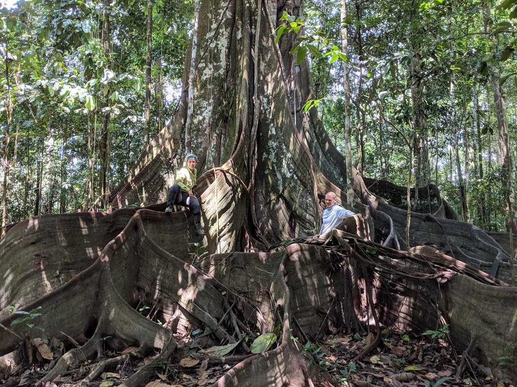 Caminata en selva